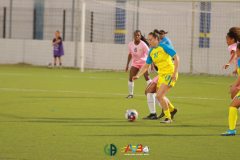 IMG_3433