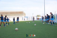 IMG_3646
