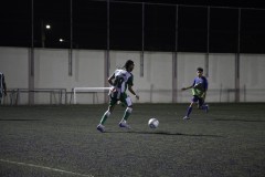 MG_5564