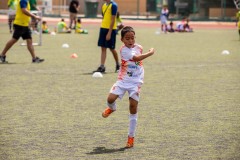 AVB-Final-U-7-75