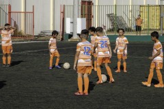 MG_5435
