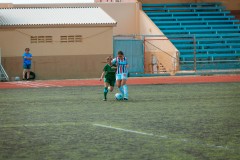 6M7A9602